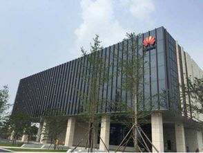 眾巨頭入駐襄陽云谷，金融外包服務繪就城市未來新藍圖